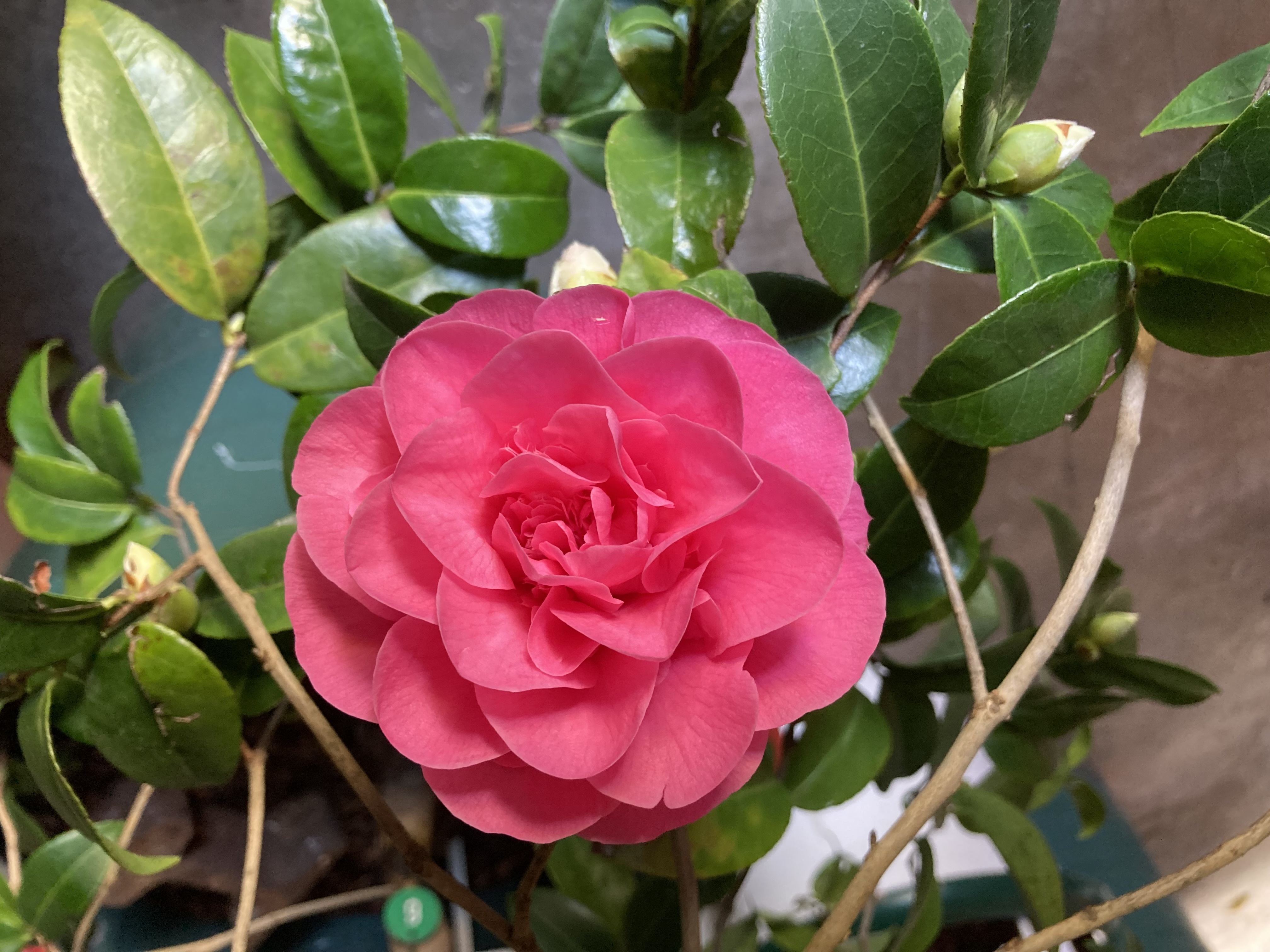 Debbie am 05.04.2023